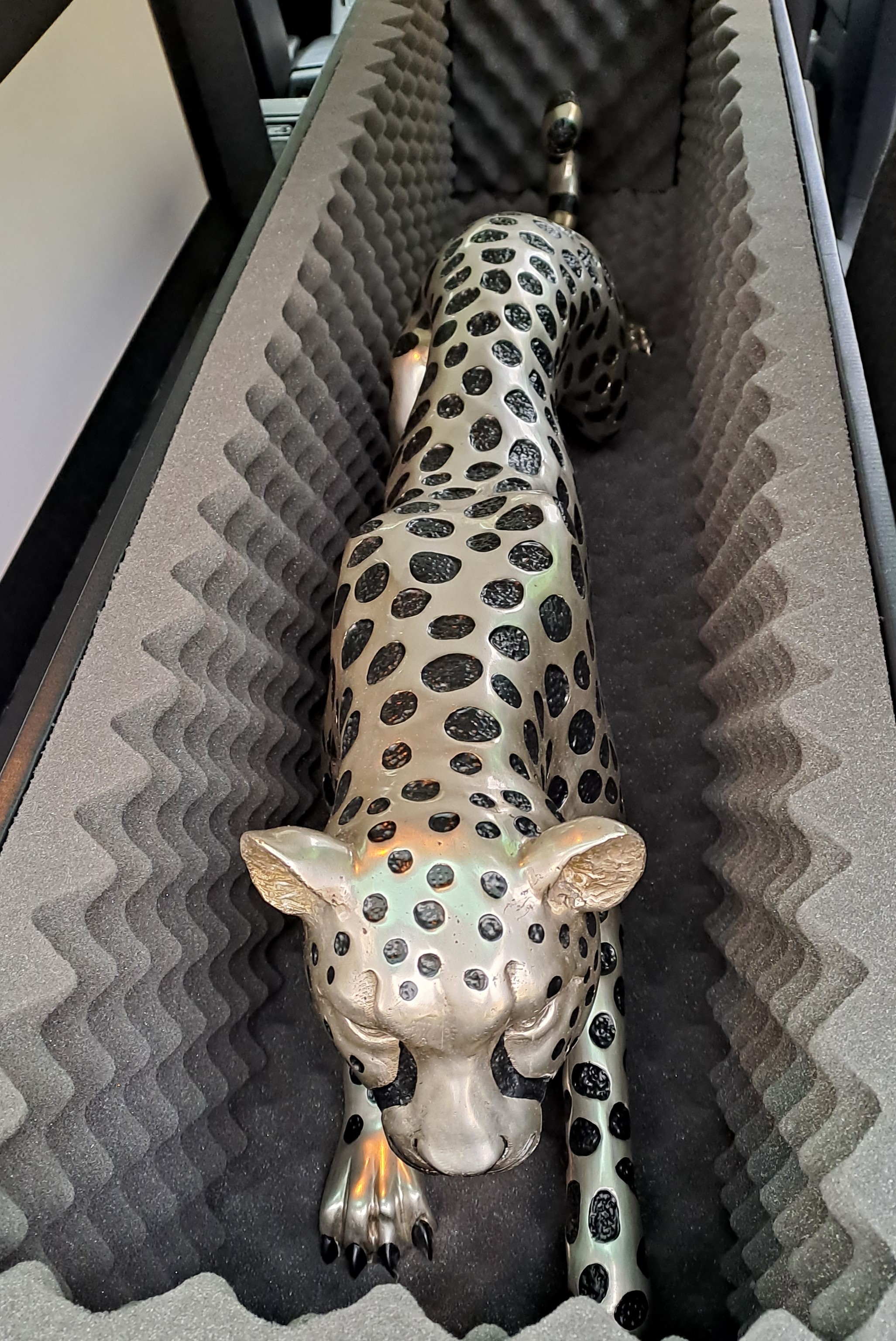 Gepard v molitanu